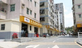 深圳龙华大浪最新爆料,揭秘大浪片区未来发展规划与亮点